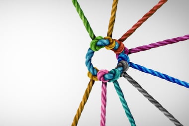 Organisational Culture Explained